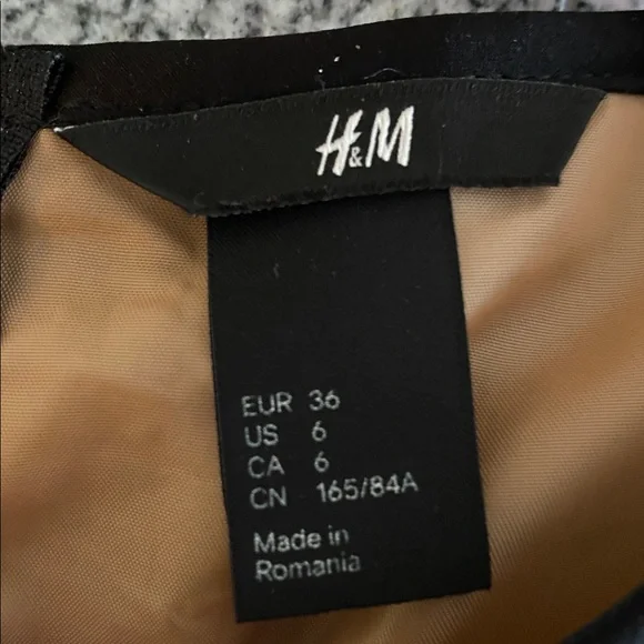 H&M Black and Tan Sheer Dress - Picture 11 of 11